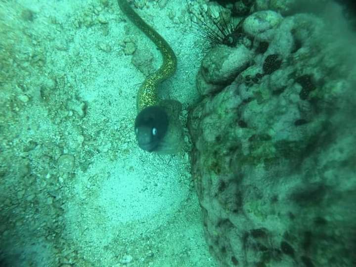 Person having cocktail poolside at Marriott branded residence
